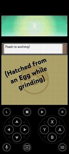 Pokemon Platinum: Togepi Evolution