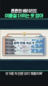 20-80% 아무리 열심히 지켜도… 여름에 잘못하면 훅 갑니다
