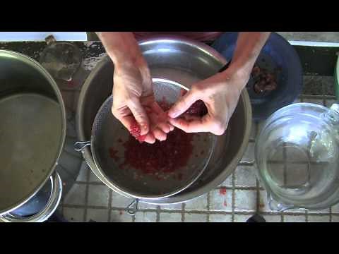 How to Make Red Caviar