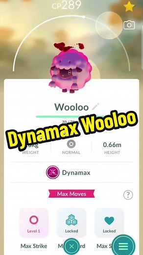 Leveled up my Dynamax Wooloo! Max Strike from Level 1 -> Level 2 (600 MP 100 Candy) Unlocked Max Spirirt (400 MP 50 Candy) Have you leveled up your Dynamax? - Follow me and let's hunt more ✨️Shiny✨️ Pokémon together! Comment below which ✨️Shiny✨️ you already have and which one you'd like me to hunt next! - #pokemon #pokemongo #shinypokemon #pokémon #pokemoncommunity #ポケモンgo #ポケモン #pokemontrainer #pokefans #pokeart #pikachu #pokemoncollection #pokemontiktok #fyp #fypシ #viral