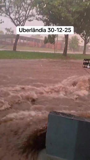 Enchente em Uberlândia: Impactos e Atualizações