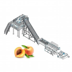 [Hot Item] Turnkey Project Whole Plant Orange Processing Line