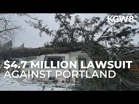 City of Portland sued for $4.7M after refusing permit for tree that later fell on family's home