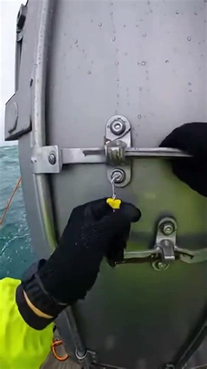 I Found a LOST BMW M4 in the Middle of the Ocean! 😱🚢