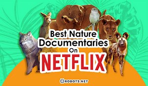 10 Best Nature Documentaries on Netflix To Enjoy Today | Robots.net