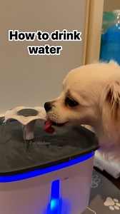 Let’s drink water | Zoe Mia Asia