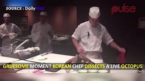 11K views · 60 reactions | #PulseUncut This gruesome footage shows a...