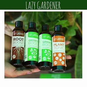 85 reactions · 11 shares | 3 Liquid Fertilisers for all plant needs. Use just once a week.  Growth Boost - For new leaves, stem & growth ❤️ Root Boost - Stronger roots, better nutrition absorption 李 Plant Tonic - Prevent yellowing of leaves Must have for all home gardeners | Lazy Gardener | Facebook