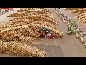 Inside Modern Factory Producing Millions Pallets: Automated Sawmill Plank & Lumber Boards from Logs