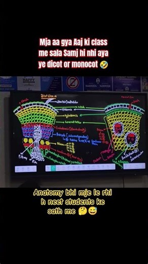 “Monocot vs Dicot 🌱 – Plant bhi confuse hai, humse zyada 😂📚”