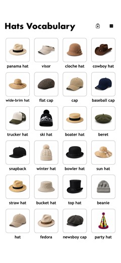 Learn English vocabulary with pictures: hats 🎩 Words in this video: panama hat, visor, cloche hat, cowboy hat, wide-brim hat, flat cap, cap, baseball cap, trucker hat, ski hat, boater hat, beret, snapback, winter hat, bowler hat, sun hat, straw hat, bucket hat, top hat, beanie, hat, fedora, newsboy cap, party hat. #vocabularywithpictures #hat #english #words #creatorsearchinsights