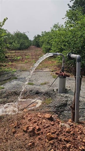 3hp texmo submersible motor pump demo #telugu raithubadi #in