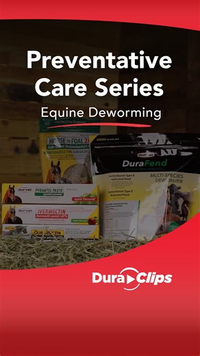 Parasite protection from foal to full-grown! This week in our Preventative Care Series, we’re featuring Horse to Foal 2X which is an easy to use, apple-flavored medicated feed that controls strongyles, pinworms, and ascarids. Perfect for horses of all ages, including foals and pregnant mares. #EquineHealth #PreventativeCare #Deworming #Equine #HorseDeworming #HorseCare #HealthyAnimals | Durvet, Inc.
