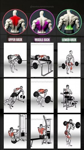 Build a Monster Back by Training All Three Layers