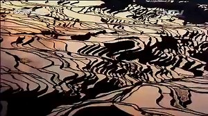 La présentation de CCTV-Français（完整版）