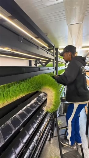 Gadjetlar | Texnologiya | Telefonlar on Instagram