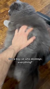 Tired of dealing with messy, smelly litter boxes? Introducing Kitty...