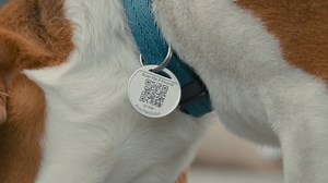 Meet Pet Tag, a new accessory that helps reunite lost pets with their owners. 🐶🏡💙 You can create a personalized profile for your pet with helpful information. In the event your pet goes missing and somebody finds them, they can scan Pet Tag and pull up the profile to best understand your pet's needs. Available in the US only. Learn more here: https://to.ring.com/PetTagFB | Ring
