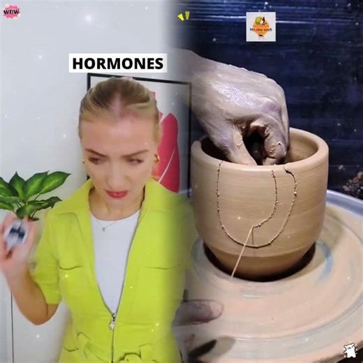 Menstrual Cup checks into the V Hotel 🌮