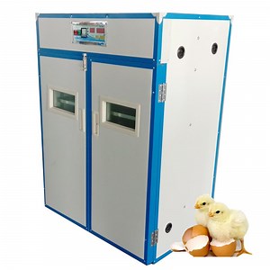 [Hot Item] Nouvelle machine automatique complète 1056 pour l'incubation des œufs de poule à vendre