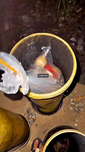 132K views · 3.2K reactions | 8” Display shell 勞勞 #fireworks #crackers #experiment #pyro #Fireworks2024 | Cracker Boi | Facebook