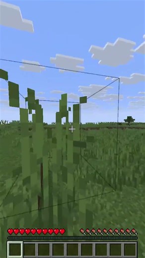 The video ends when I break a wood block.