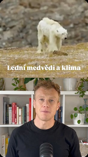 Ing. Daniel Kortus, Ph.D. on Instagram: "👉 Lední medvědi se stali symbolem klimatické změny tak trochu neprávem. Nevymírají – jejich globální počet po omezení lovu ve 2. polovině 20. století vzrostl a dnes se odhaduje zhruba na ~22–31 tisíc jedinců oproti tehdejším 6 tisícům. ￼ Úbytek mořského ledu kvůli antropogennímu oteplování je samozřejmě ohrožuje. Není to však tak vážné, jak často vidíme na internetu. Navíc se ukazuje, že část ledních medvědů se úspěšně měnícím se podmínkám přizpůsobuje.