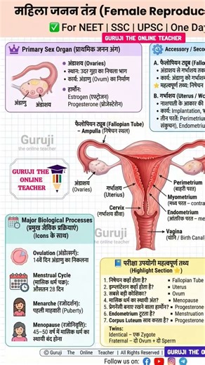 female Reproductive system #female_reproduction #female #shorts #shortvideo #trending #biology