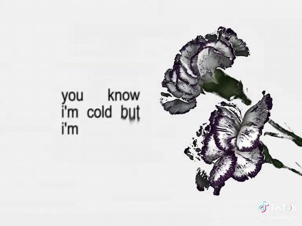 Descubre las Mejores Canciones Speed Up Nightcore