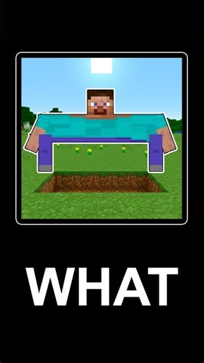 🏃 Minecraft Steve MORPH RUN 🤣 #minecraft #funny #what