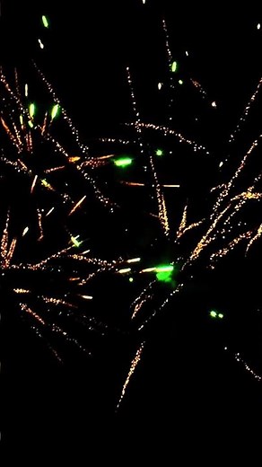 This firework screams July 4th!