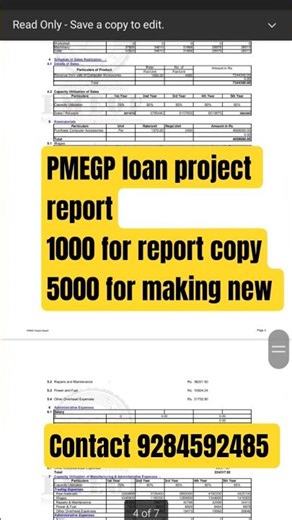 PMEGP project report