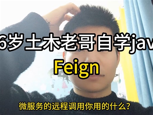 26岁土木老哥自学java——Feign
