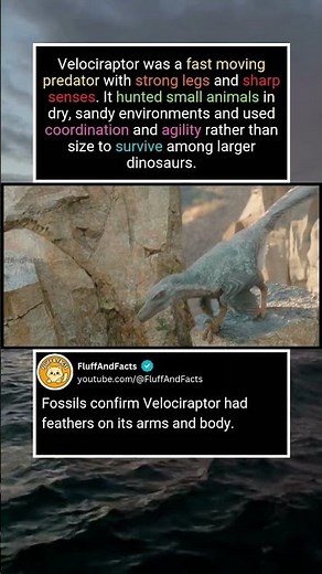 The Real Velociraptor
