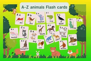 Animal Alphabet Flash Cards: A-Z Printable ABC Cards (digital Download) - Etsy Canada