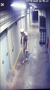 The Wire Creature: Caught on Security Camera in Abandoned Warehouse
