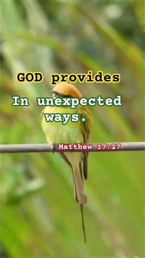 God provides in unexpected ways.