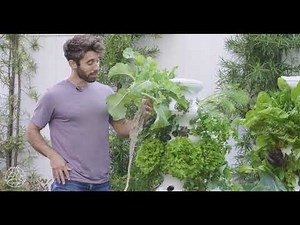 How to: Trim Roots and Prune Leaves