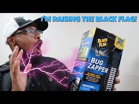 Black Flag Bug Zapper REVIEW!