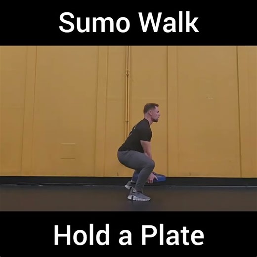 Sumo Walk- Plate