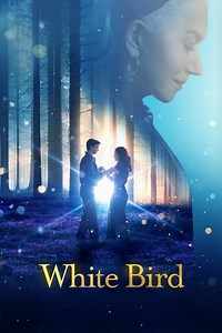 White Bird - CompareTV