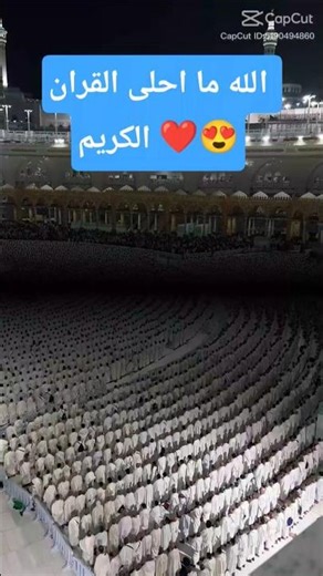 Ahmed -Roblox ####################