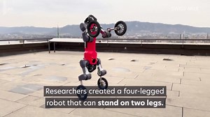 The future of delivery robots can switch from four to two legs