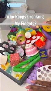 Who’s Destroying All My Fidgets? The Investigation Begins.