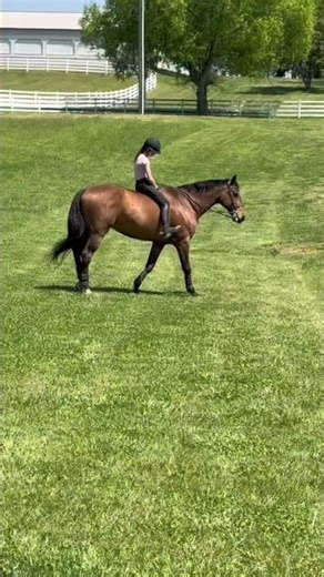 First time riding Ned barebackkk❤️he was perfect as usual