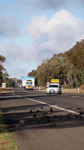 578K views · 1.8K reactions | Straight from the camera to you....