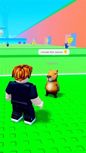 FAKE OWNER SCAMS INFINITY IN ESCAPE TSUNAMI FOR BRAINROTS.. 😡