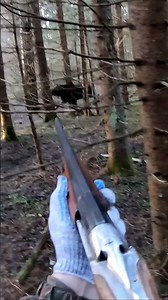 Big Bull Moose Hunting in Alaska #moose #hunting #moosehunting