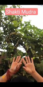 48K views · 1.1K reactions | Shakti Mudra, also known as Power Mudra,...