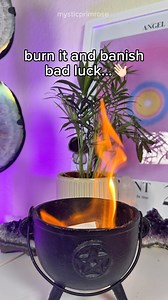 419K views · 46K reactions | You will be the luckiest person alive ✨ Comment ‘good luck’ and I will make a good luck spell jar for you!  Use this easy banishing spell to prevent any future bad luck 栗‍♀️ Witchcraft supplies from www.mysticprimrose.com #manifestation #moneyspell #lawofattraction #manifestationcoach #fyp | mysticprimrose | Facebook